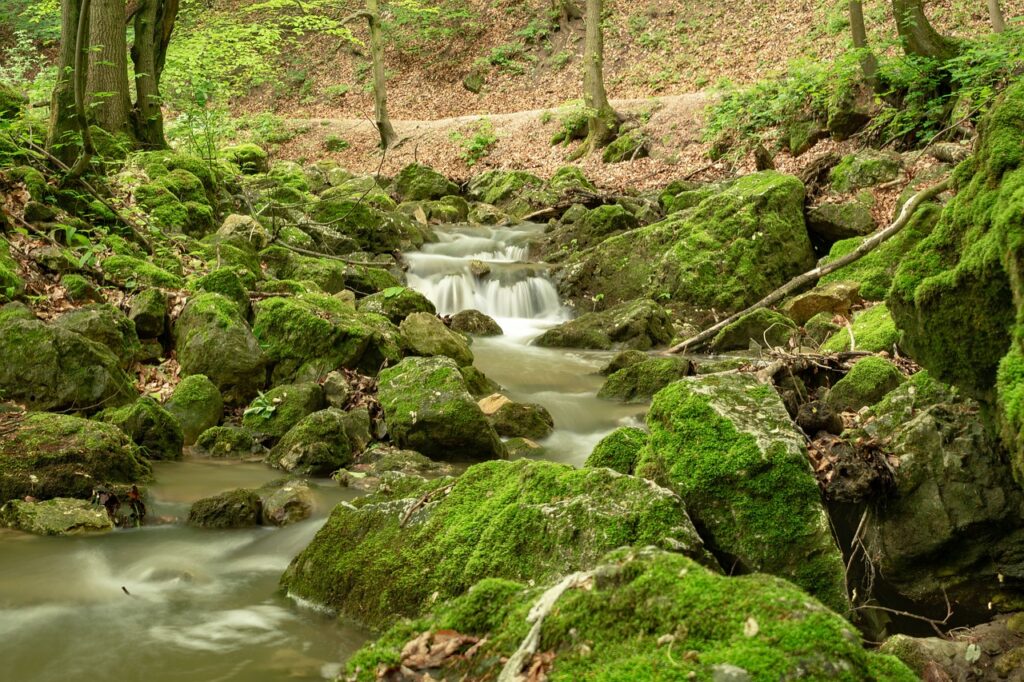 Are There Guided Tours Of The Cotswolds?