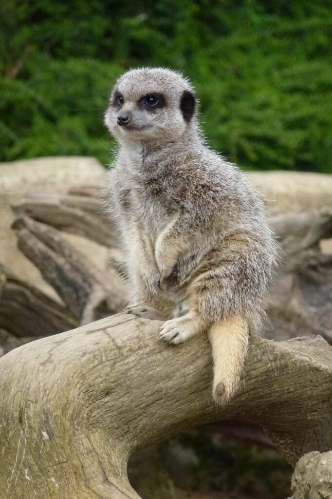 Is The Cotswolds A National Park?