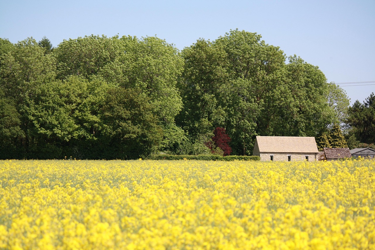 What TV Shows Or Movies Were Filmed In The Cotswolds?